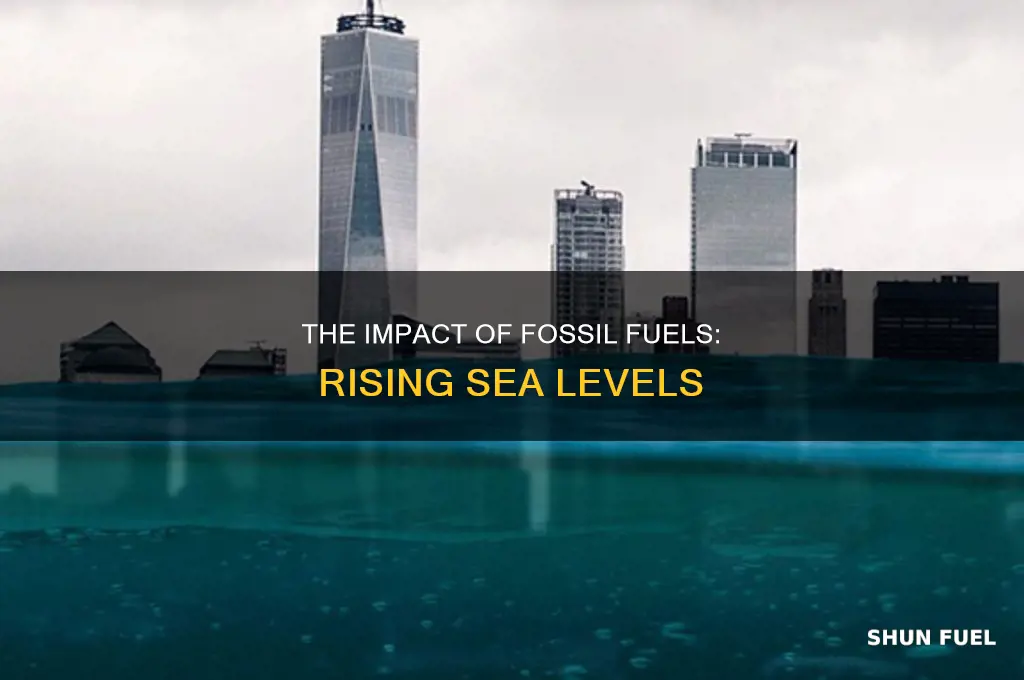 how does burning fossil fuels causes sea level rise