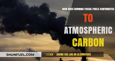 Fossil Fuel Burning: Carbon's Journey into the Atmosphere