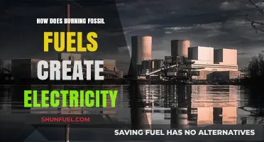 Fossil Fuels: Power Generation and Electricity