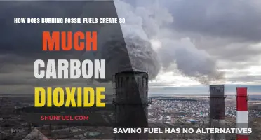 Fossil Fuels: Carbon Dioxide's Dark Secret