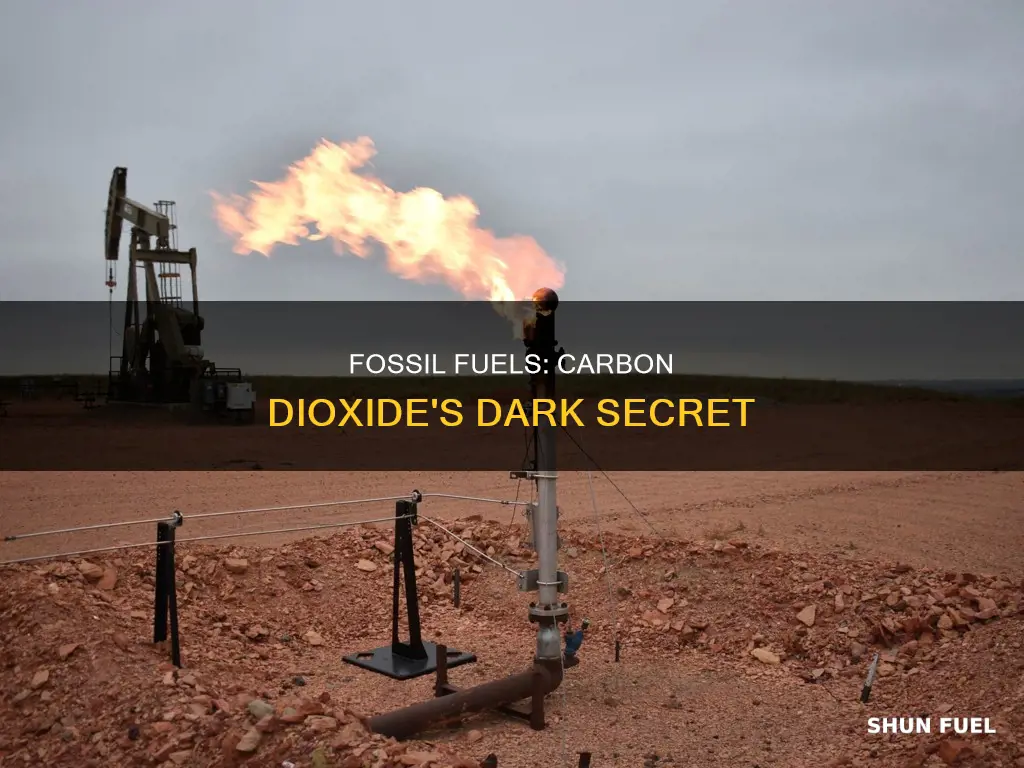 how does burning fossil fuels create so much carbon dioxide