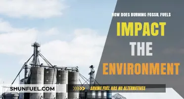 Fossil Fuels: Environmental Impact of Burning