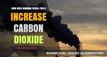 The Impact of Fossil Fuels: CO2 Emissions Explained