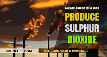 The Burning Question: Fossil Fuels and Sulphur Dioxide