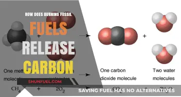 Fossil Fuels: Burning Carbon, Impacting Our Climate