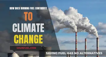 The Impact of Burning Fuel on Climate Change