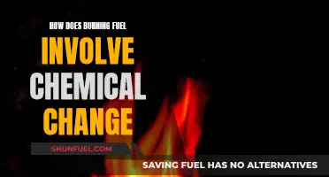 Chemical Changes: Burning Fuel and Energy Release