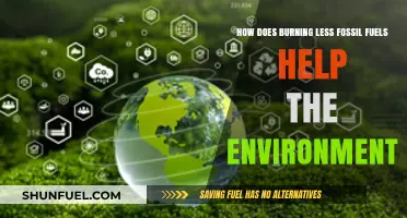 Reducing Fossil Fuels: Saving Our Planet