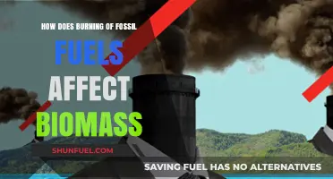 Fossil Fuel Burning: Impacting Biomass and Our Future
