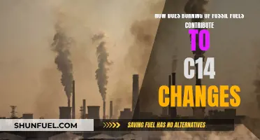 Fossil Fuel Combustion: Impact on Carbon-14 Levels