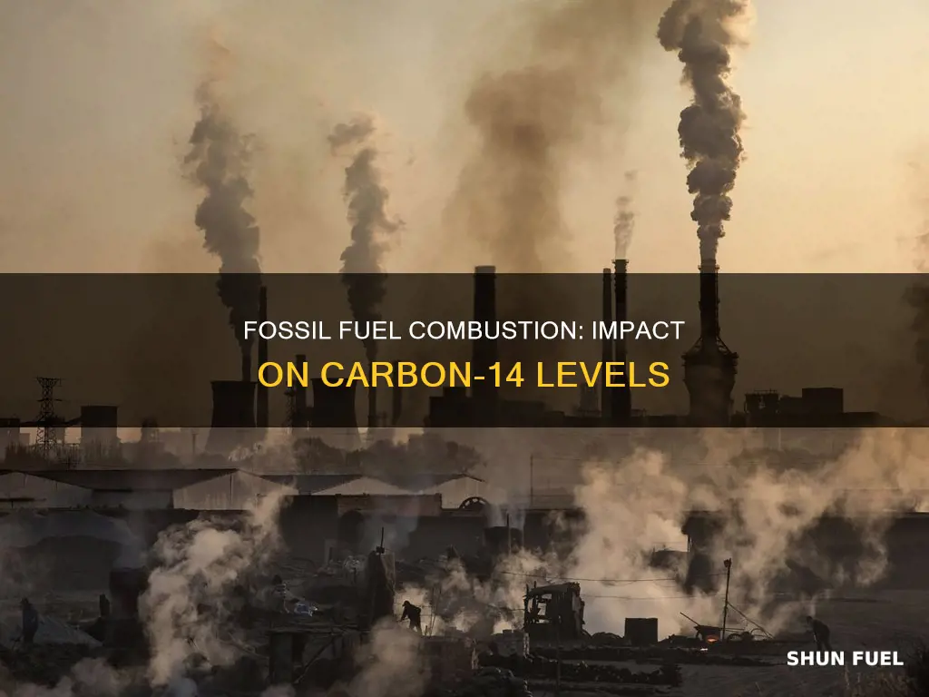 how does burning of fossil fuels contribute to c14 changes