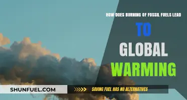Fossil Fuels: Warming Our Planet