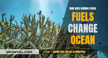 The Impact of Fossil Fuels on Our Oceans