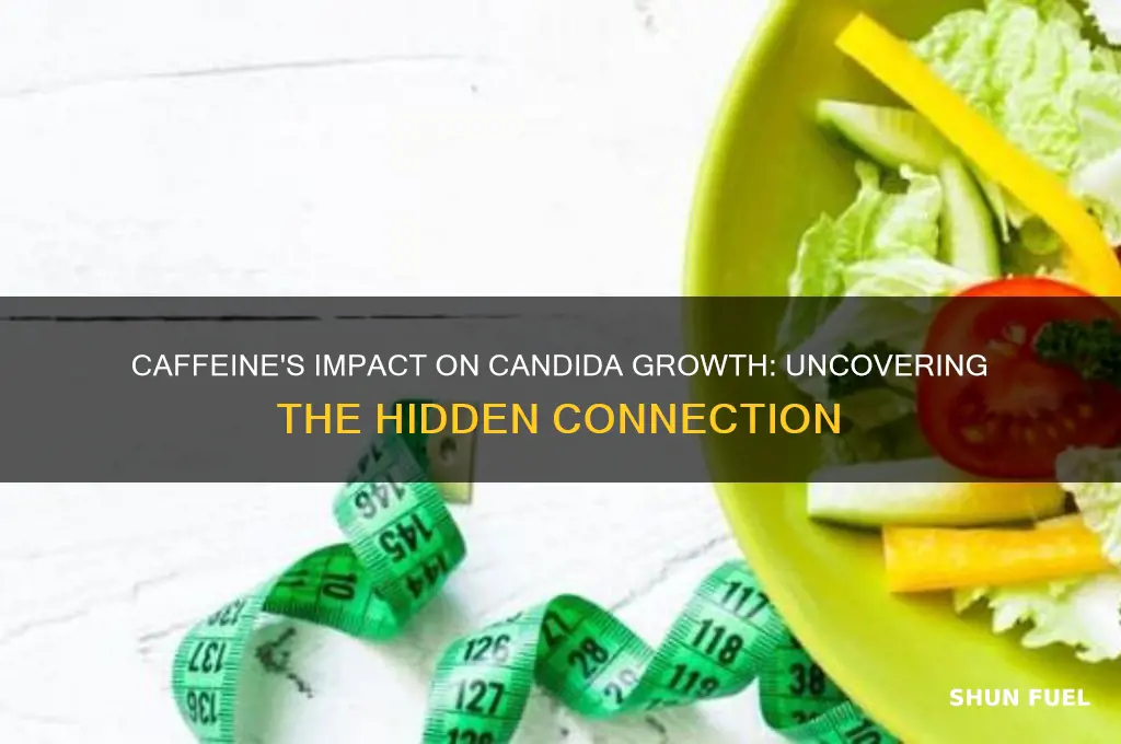 how does caffeine fuel candida