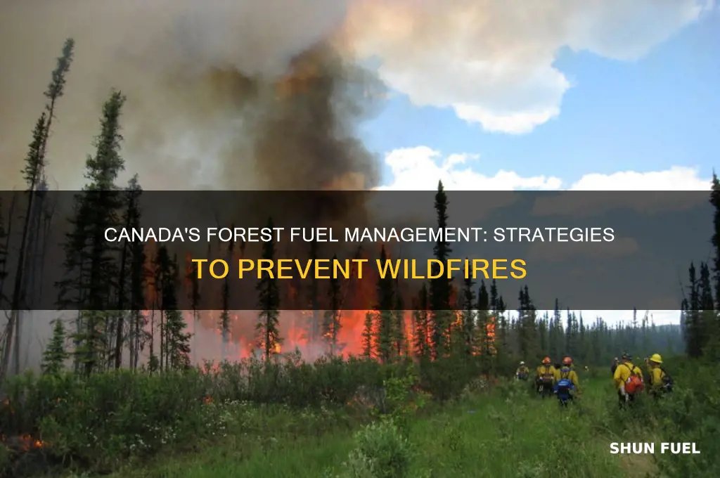 how does canada manage fuel build up in the forests