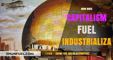 Capitalism's Role in Driving Industrialization: A Historical Perspective