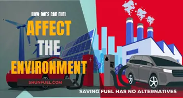 The Environmental Impact of Car Fuel: A Deep Dive