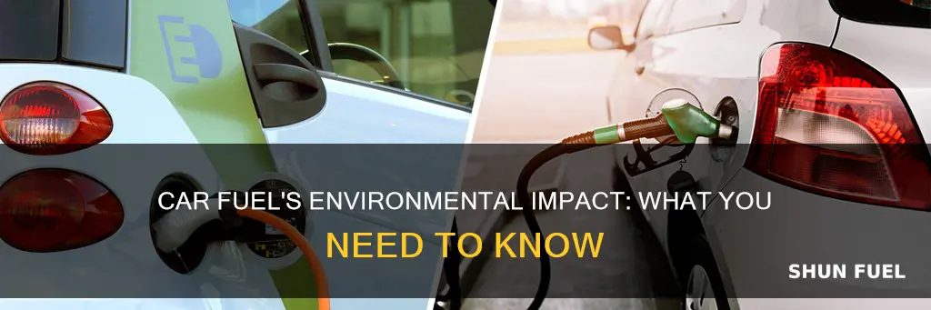 how does car fuel affect the environment