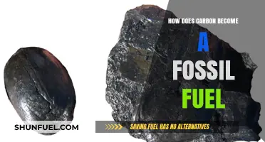 The Formation of Fossil Fuels: Carbon's Ancient Transformation