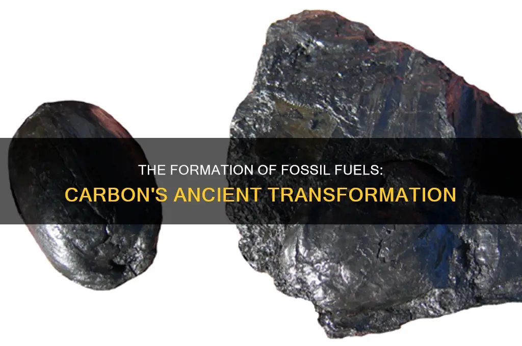 how does carbon become a fossil fuel