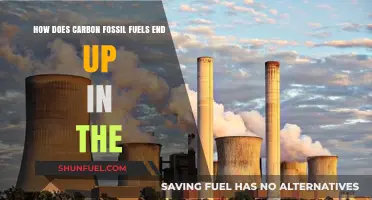 Carbon's Journey: Fossil Fuels to Atmosphere