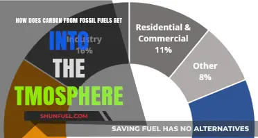 The Journey of Carbon: Fossil Fuels to Atmosphere