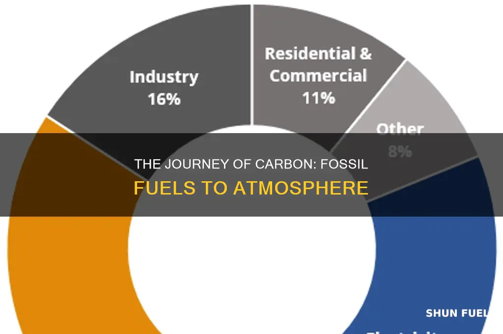 how does carbon from fossil fuels get into the tmosphere