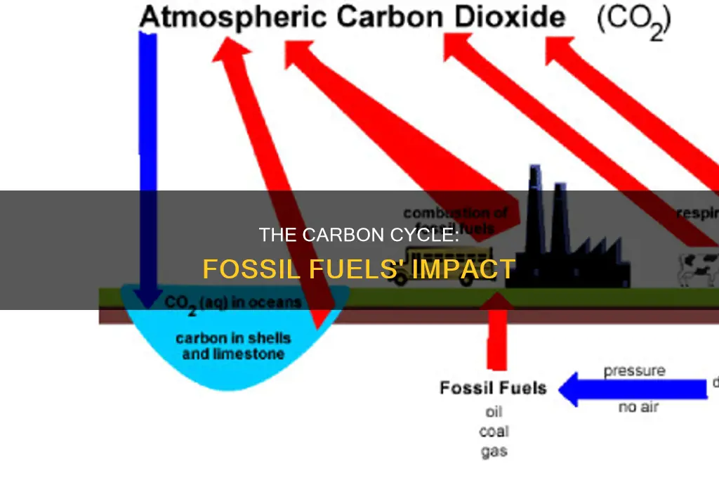 how does carbon move through burning fossil fuels