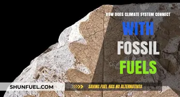 Climate System: Fossil Fuel's Dark Connection