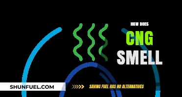 Decoding the Distinct Odor of CNG: A Comprehensive Guide