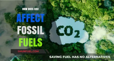 The Impact of CO2 on Fossil Fuels