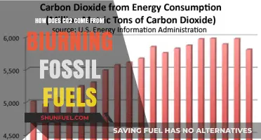 Fossil Fuels: Burning Question of CO2 Emissions