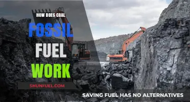 Understanding Coal: Energy Source and Fossil Fuel Functionality