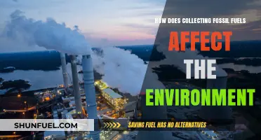Fossil Fuel Collection: Environmental Impact and Concerns