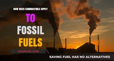 Combustible Fossil Fuels: Energy and Environmental Impact