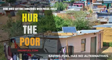 Fossil Fuel Subsidies: Hurting the Poor, Helping No One