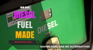The Evolution of Diesel Fuel: A Complex Process