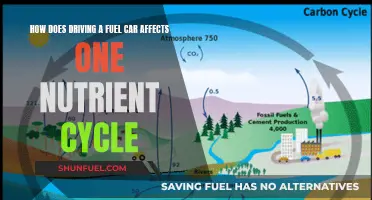 The Impact of Gasoline Vehicles on Nutrient Cycling