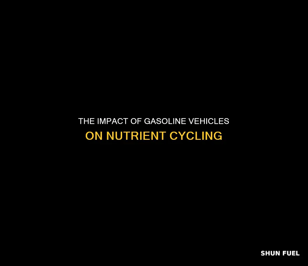 how does driving a fuel car affects one nutrient cycle