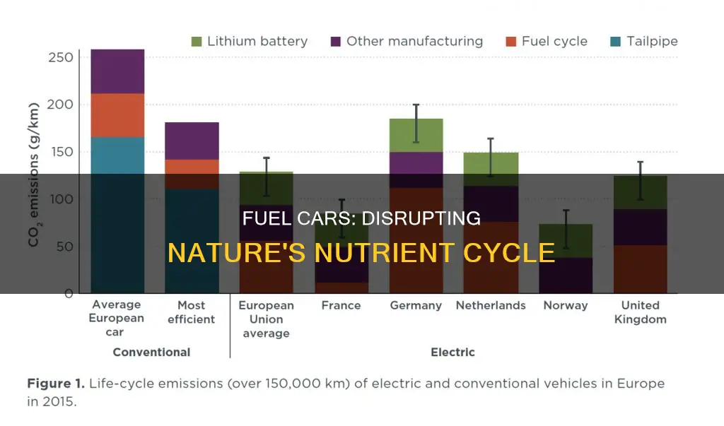 how does driving a fuel car affects one nutrient cycle