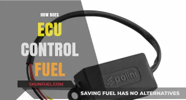 ECU's Role in Optimizing Fuel Injection and Engine Performance