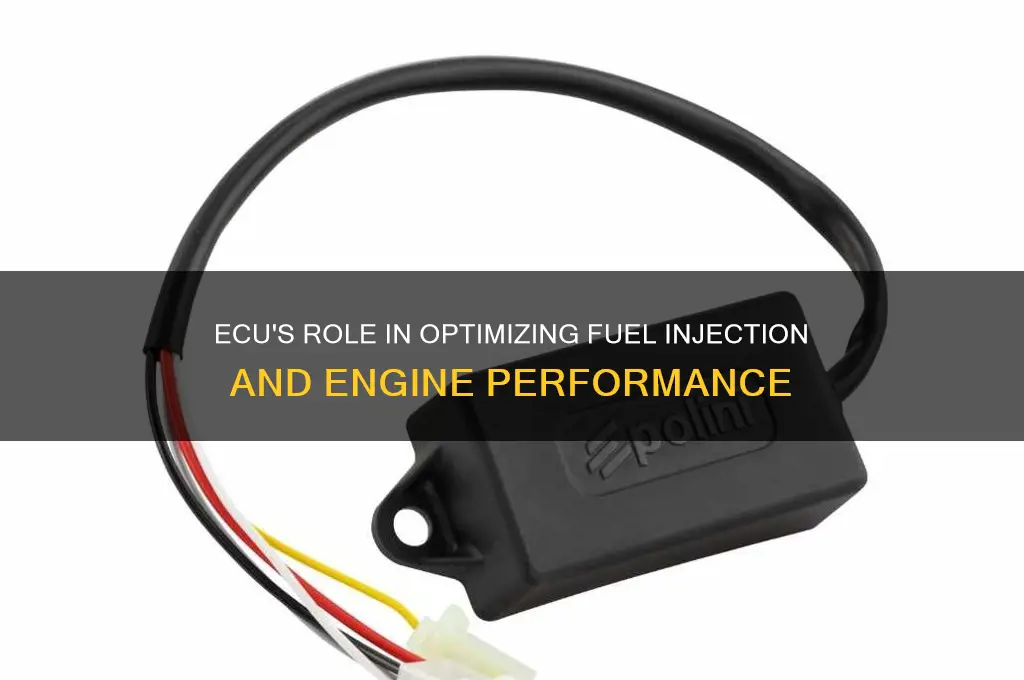 how does ecu control fuel
