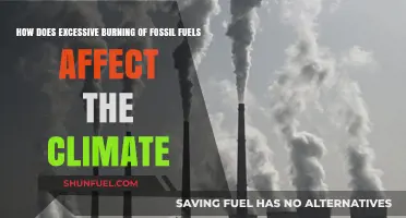 Fossil Fuel Burning: Climate Change's Main Culprit