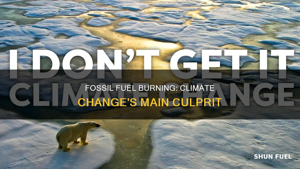 how does excessive burning of fossil fuels affect the climate