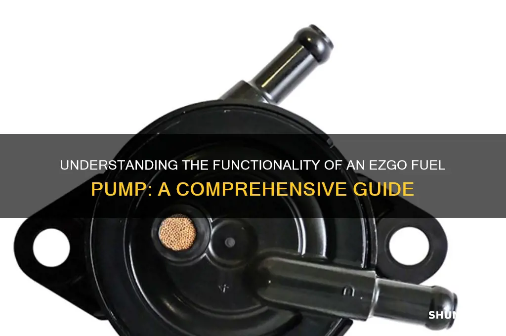 how does ezgo fuel pump work