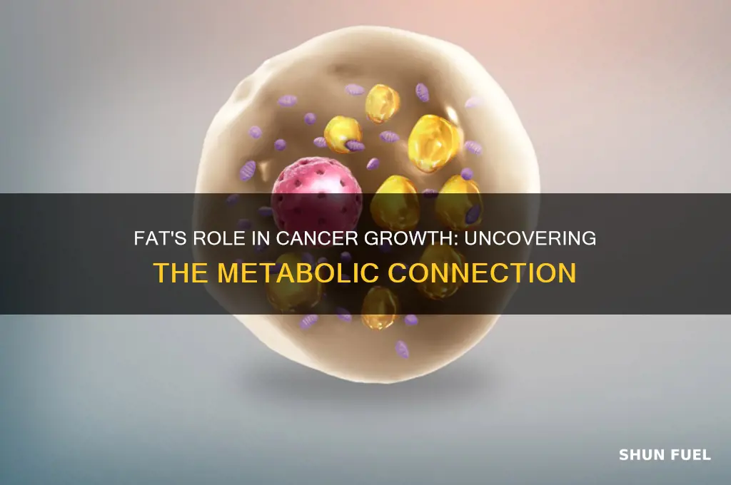 how does fat fuel cancer