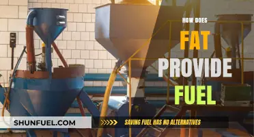 Fat as Fuel: Unlocking Energy and Sustaining Your Body's Power