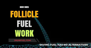 Understanding Follicle Fuel: Mechanism, Benefits, and Effective Usage Explained