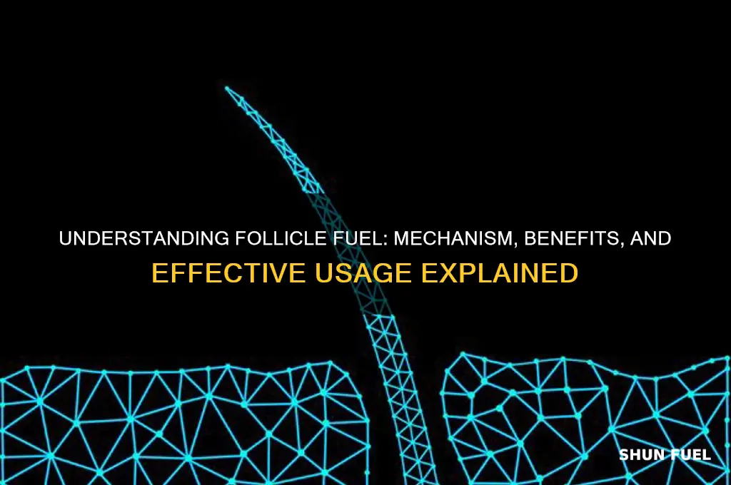 how does follicle fuel work