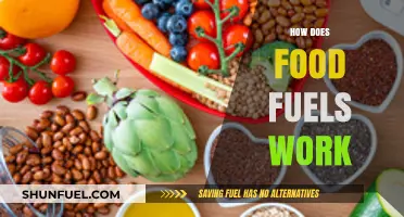 Understanding Food Fuels: How Nutrients Power Your Body and Energy
